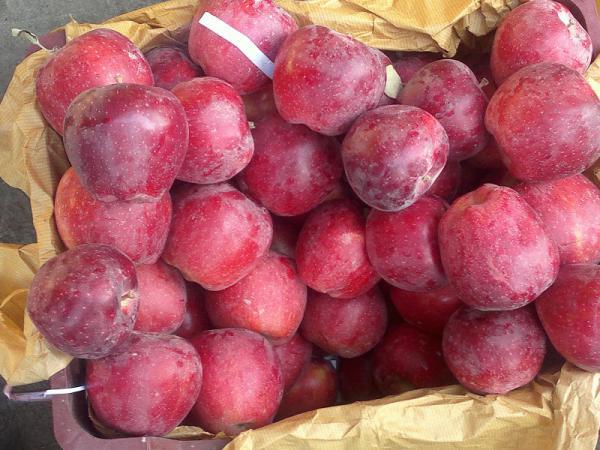 چگونگی مراقبت از سیب درختی سردخانه ای