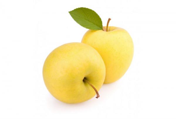 وضعیت تولید سیب صادراتی سمیرم چگونه است؟