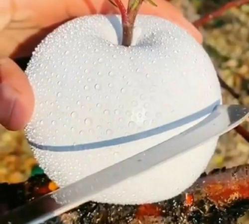 خرید سیب سفید قندی به قیمت عالی