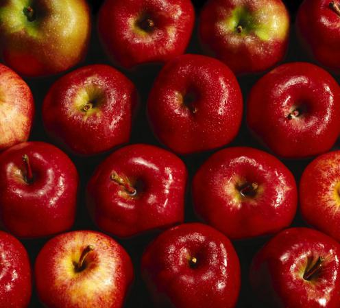 بیشترین صادرات سیب مربوط به کدام کشور است؟