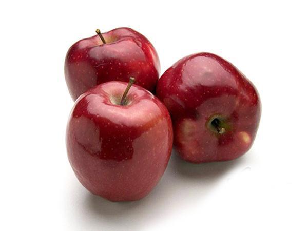 پخش عمده سیب سرخ استخوانی در سراسر کشور