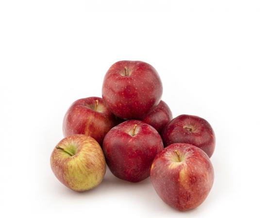 سیب پادرختی چه خصوصیاتی دارد؟