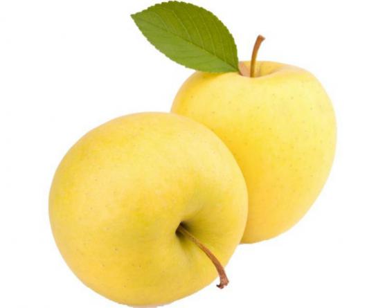 سفارش خرید سیب زرد فرانسه از معتبرترین فروشندگان 