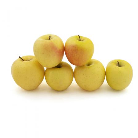 فروش عمده سیب زرد پایه کوتاه به قیمت ویژه