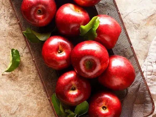 خرید عمده سیب درختی ژاپنی درجه یک در بازار تهران