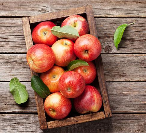 خرید اینترنتی سیب درختی با قیمت ارزان در شهر مهاباد