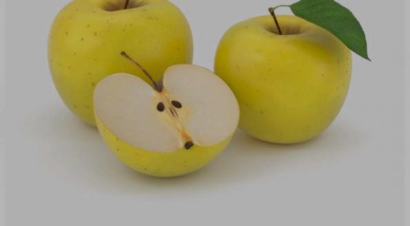 توزیع سیب زرد با ارزان ترین قیمت در بازار تهران