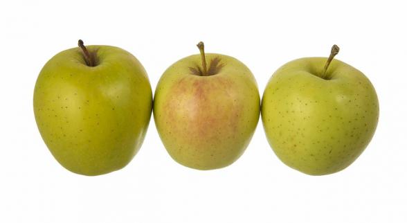 مراکز خرید سیب درختی با بهترین کیفیت در اصفهان