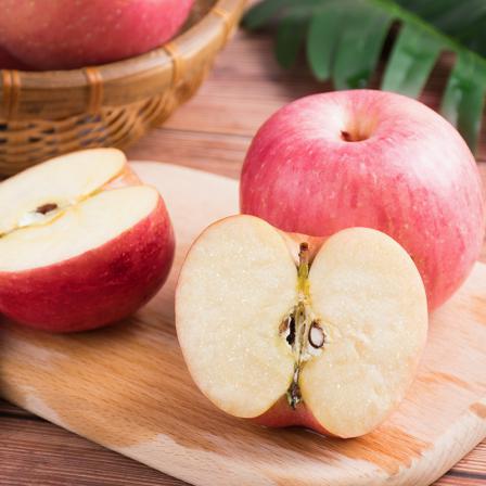 اقلام مختلف سیب درختی را بشناسید