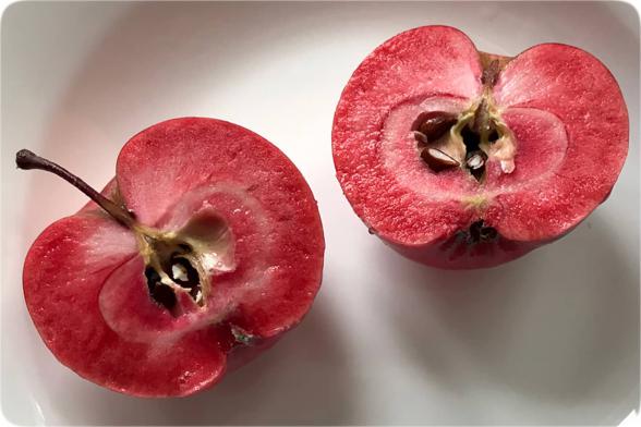 سفارش خرید سیب توسرخ به قیمت ارزان از معتبرترین فروشندگان