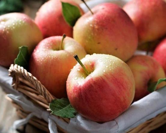 میزان تولید سیب گلاب قرمز در اصفهان