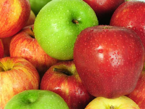 عرضه مستقیم و ارزان سیب گلاب در اصفهان