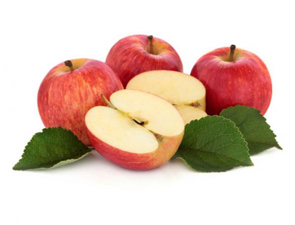 بزرگترین تولید کننده سیب گلابی در ایران