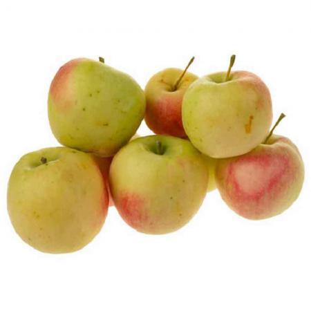 قیمت ویژه سیب استخونی درجه یک دماوند