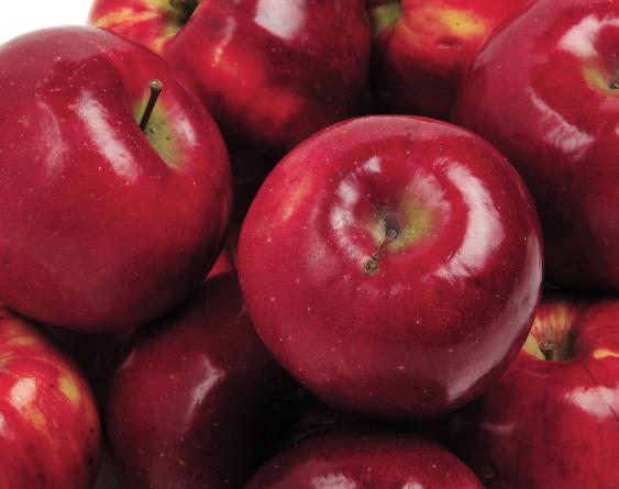 همه چیز درباره صادرات سیب در ایران