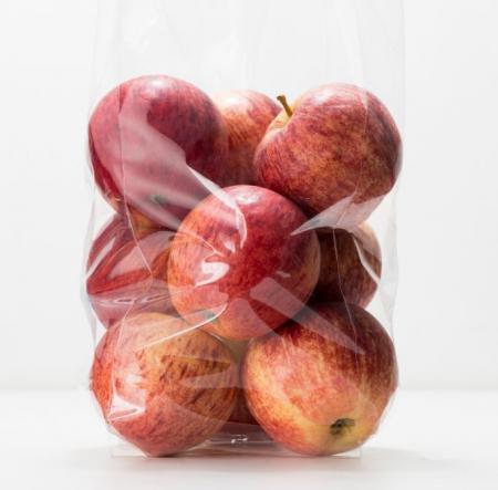 فروش سیب درختی کوچک بسته بندی شده