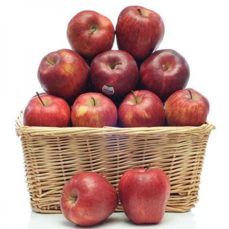 دو کشور اصلی در تولید و صادرات در جهان کدام اند؟