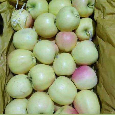 قیمت باورنکردنی سیب صادراتی ارومیه در بازار داخلی