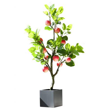 فروش سیب درختی گلدانی به قیمت ارزان