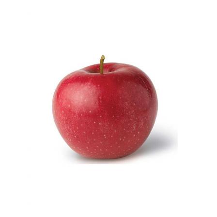 در مورد صادرات سیب درختی ارومیه بیشتر بدانید