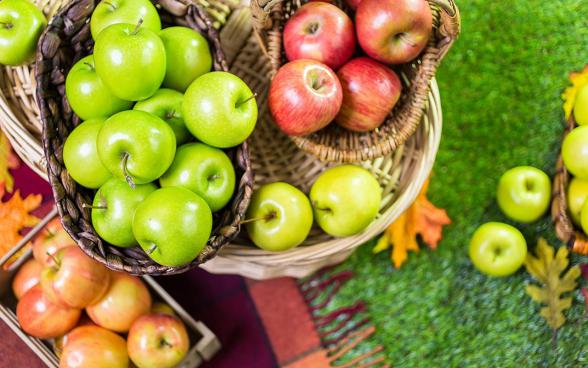 قیمت ویژه سیب درختی در بازار داخلی