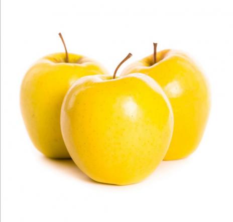 عرضه بهترین سیب زرد ممتاز در سطح کشور