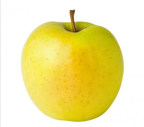 راه های تشخیص مرغوب بودن سیب زرد