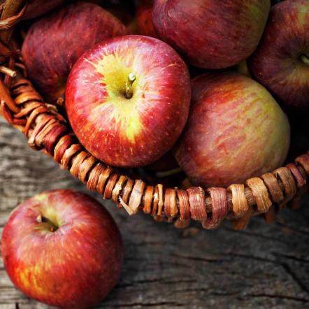 تشخیص سیب درجه یک از بی کیفیت