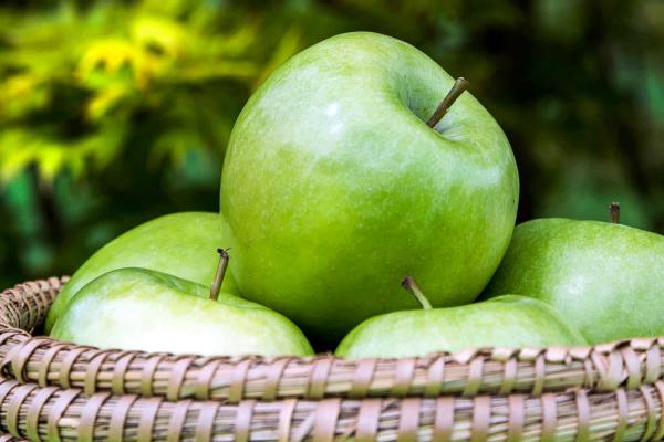 چند نکته مهم در زمان خرید سیب ترش