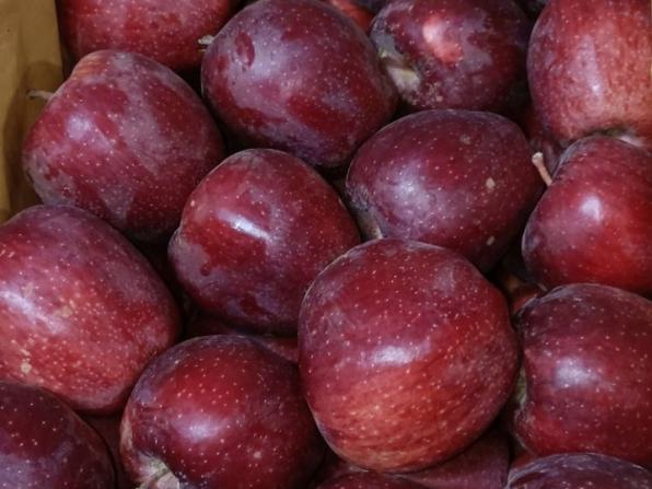 قیمت روز سیب در سال 1400