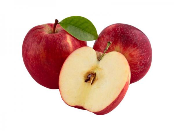 فروش عمده بهترین سیب قرمز در سمیرم