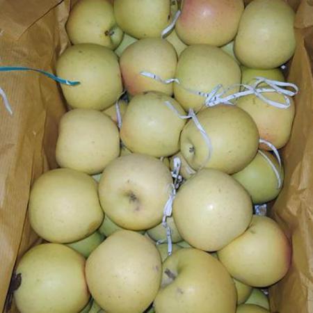 مراکز فروش سیب سفید درجه یک در بازار تهران