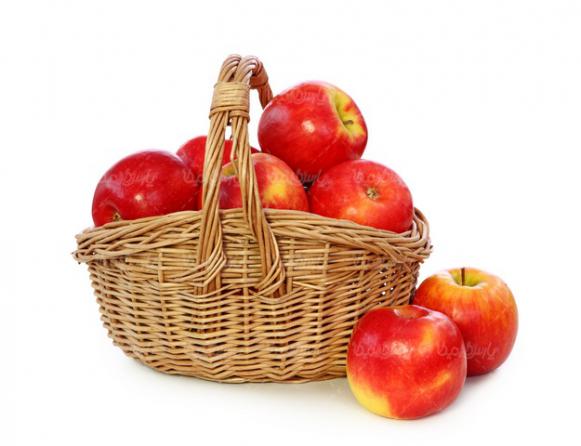 خرید ارزان سبد سیب درختی از ارومیه