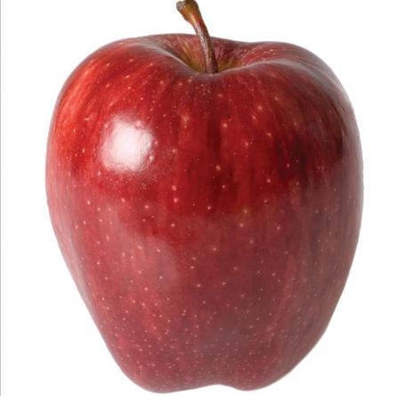 قیمت شگفت انگیز سیب درختی ممتاز ارومیه