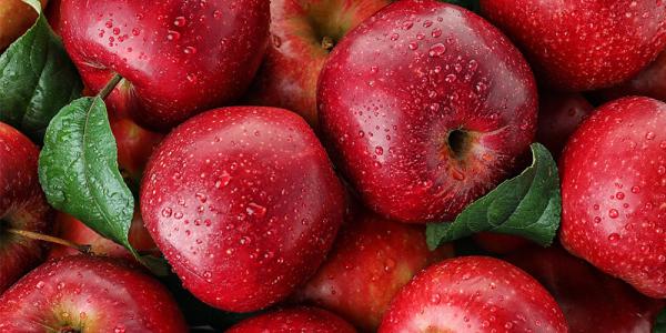 نرخ سیب قرمز با کمترین بها در بازار شاهرود