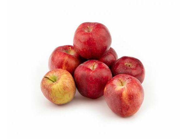 آشنایی با بهترین سیب صادراتی