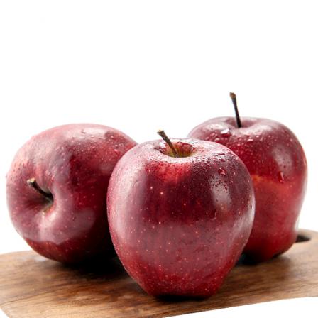 نکات کلیدی برای صادرات سیب به اروپا