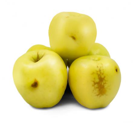 خرید بدون واسطه سیب زرد درختی درجه یک