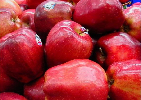خرید و فروش سیب درختی مرغوب در شهر اصفهان