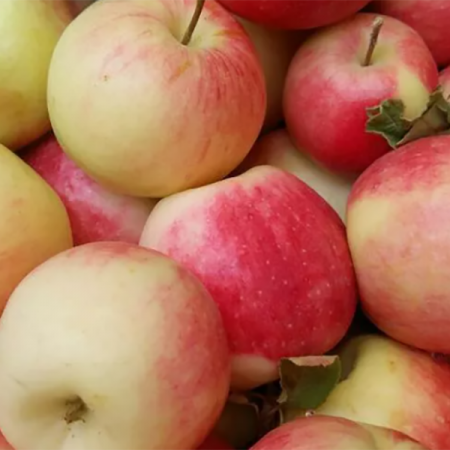 توضیحاتی درباره ویژگی کیفیت سیب قرمز 